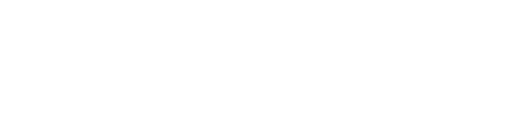 Wanivenhaus Marketing - Branding and Digital Marketing Solutions
